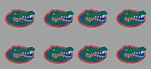 8 Piece Head Team Logo Officially Licensed Waterless Peel & Stick Temporary Spirit Tattoos