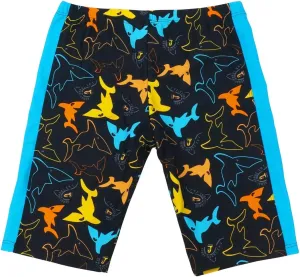 Aivtalk Boys' Quick Dry UPF 50  Beach Swim Trunk Toddler Jammers for Swimming