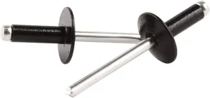 Allstar Performance ALL18170 Large Head Rivet, Steel, Black, Pack of 250