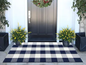 Blue and White Outdoor Rug 24''x 51''Buffalo Plaid Checkered Front Porch Rug Woven Machine Washable Farmhouse Door Mats Outdoor for Hello/Welcome Mat,Entryway,Bedroom,Patio
