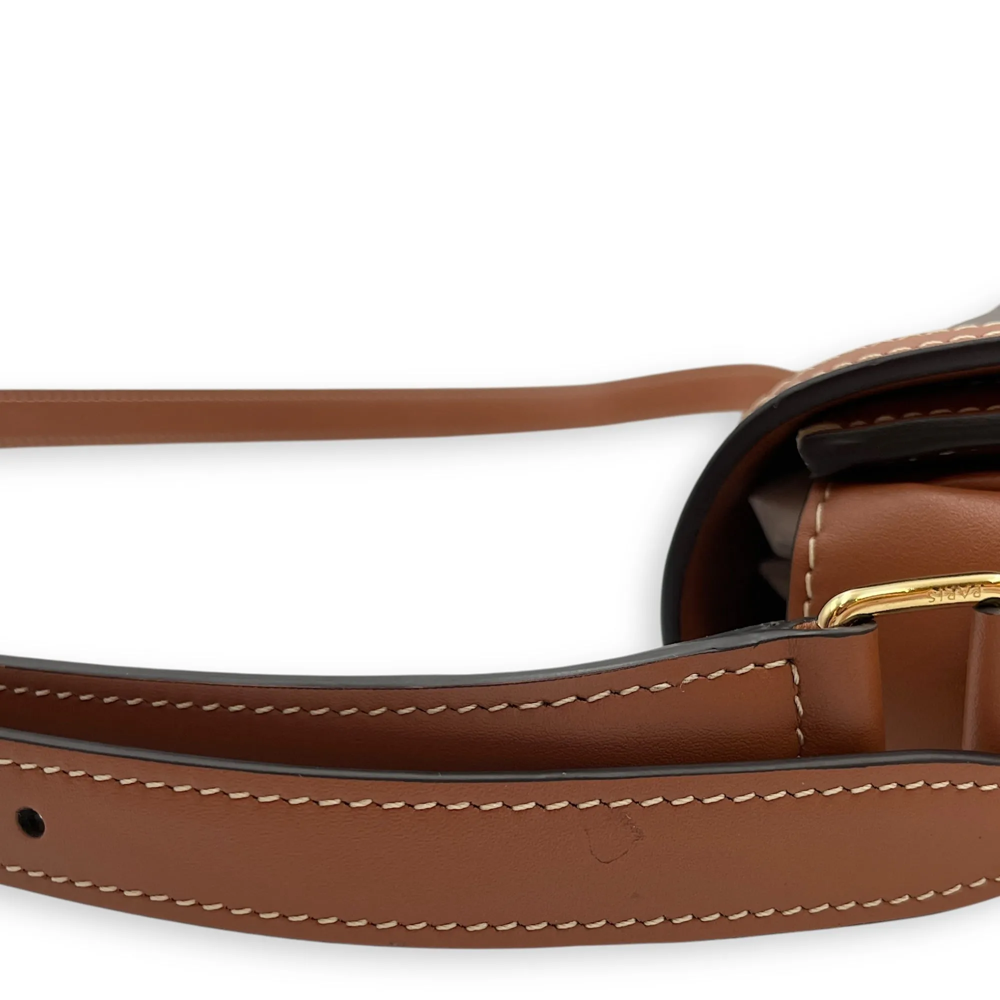 Classic Teen Triomphe Brown Crossbody Bag in Canvas/Calfskin, Gold hardware