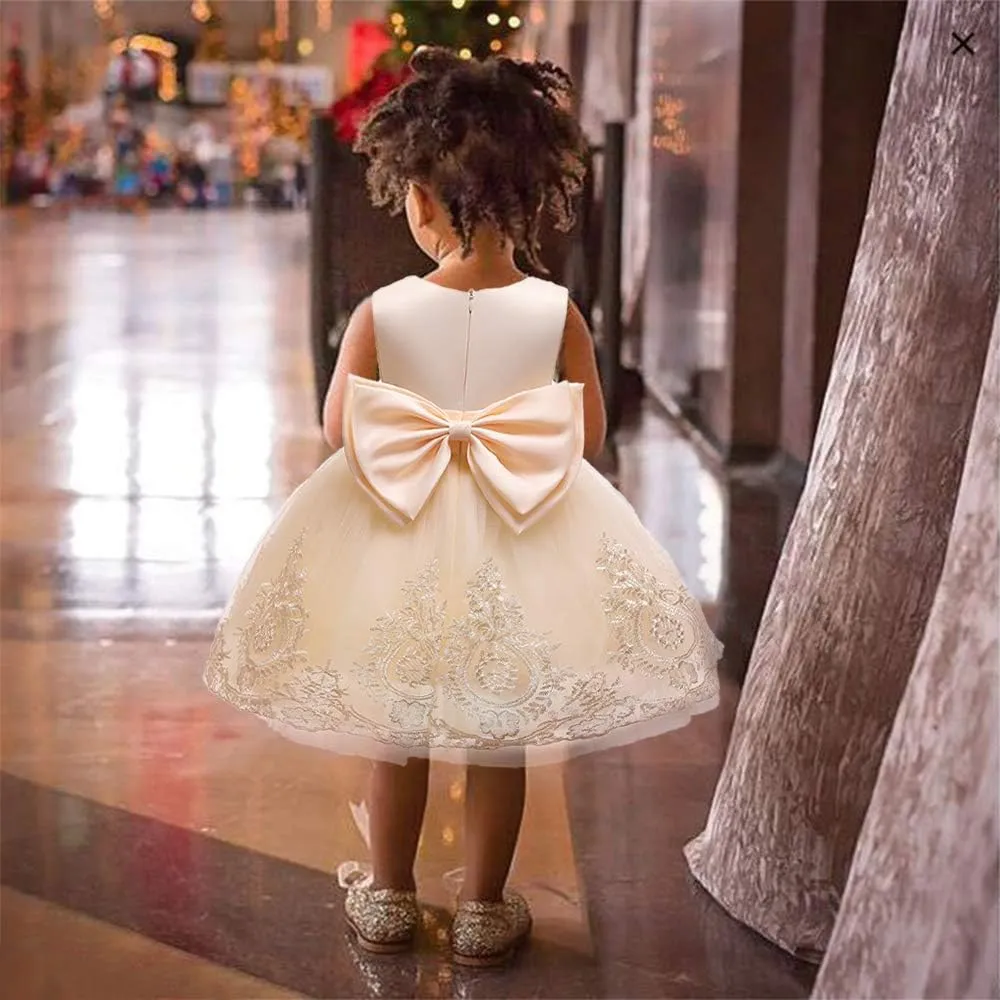 CMMCHAAH 0-6T Baby Girls Pageant Lace Embroidery Dresses Toddler Party Bowknot Tutu Gown Dress with Headwear