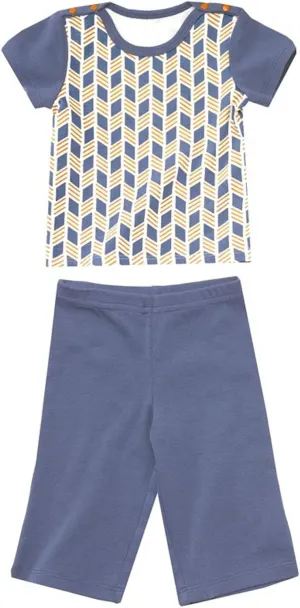 Petunia Pickle Bottom Shirt and Pant Set - Stacked Tracks