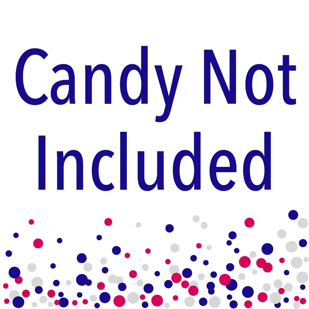 Pink Checkered Party - DIY Clear Goodie Favor Bag Labels - Candy Bags with Toppers - Set of 24