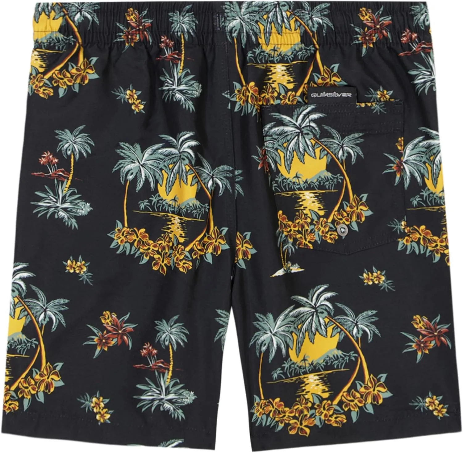 Quiksilver Boys' Volley Swim Trunks with UPF 50  Sun Protection, Quick Dry Bathing Suit Shorts