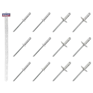 Sealey Clip Strip Deal - Aluminium Rivets