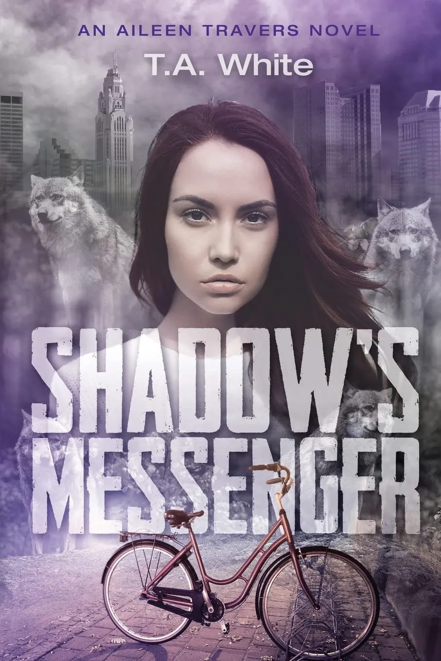 Shadow's Messenger: An Aileen Traver's Novel Paperback – December 7, 2016