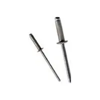 Stainless Steel Rivets